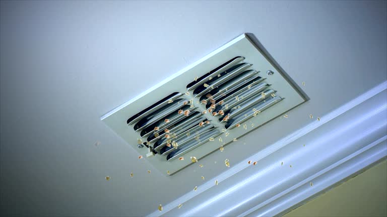 Best HVAC System Cleaning  in Riverside, UT