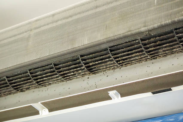 Best Air Duct Cleaning Near Me  in Riverside, UT